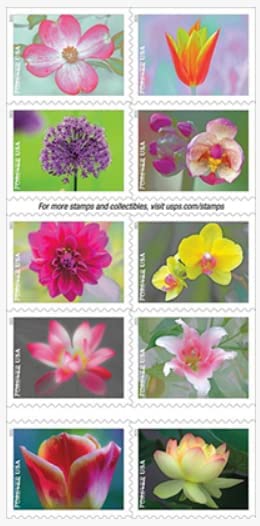 Garden Beauty Stamps with 20 Self-Seal Envelopes White #10