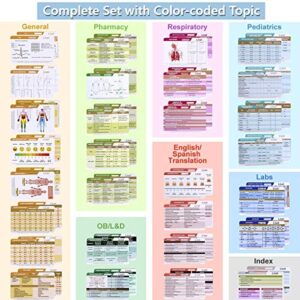 Nursing Badge Reference Cards - EKG, Vitals, Lab Values, Spanish Translation etc. RN Gifts for Nurses, Nursing School Student Essentials Supplies, Badge Buddy Nursing Cheat Sheets for ER CNA LVN IPN