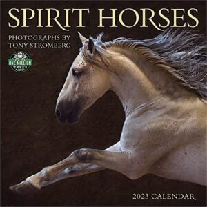 spirit horses 2023 wall calendar by tony stromberg | 12″ x 24″ open | amber lotus publishing