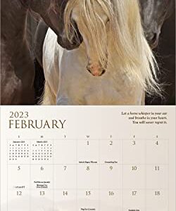Spirit Horses 2023 Wall Calendar by Tony Stromberg | 12" x 24" Open | Amber Lotus Publishing