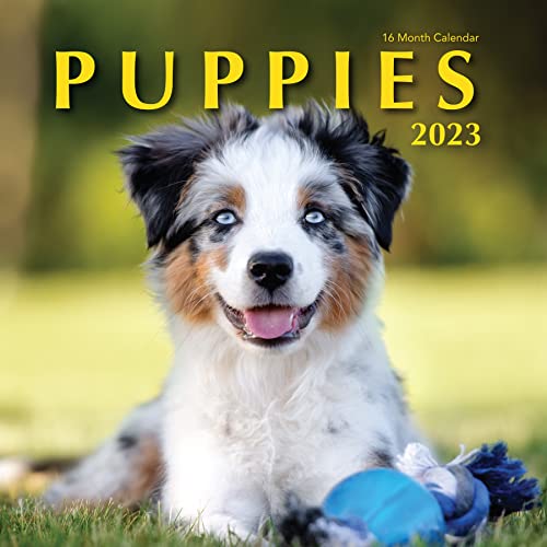 Puppies 2023 Hangable Wall Calendar - 12" x 24" Open - Cute Funny Dog Photo Gift - Sturdy Thick Puppy Dogs Photography - Large Full Page 16 Months for Organizing & Planning - Includes 2022