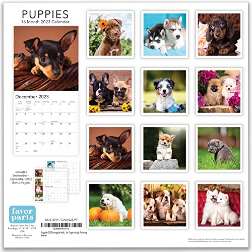 Puppies 2023 Hangable Wall Calendar - 12" x 24" Open - Cute Funny Dog Photo Gift - Sturdy Thick Puppy Dogs Photography - Large Full Page 16 Months for Organizing & Planning - Includes 2022