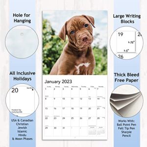 Puppies 2023 Hangable Wall Calendar - 12" x 24" Open - Cute Funny Dog Photo Gift - Sturdy Thick Puppy Dogs Photography - Large Full Page 16 Months for Organizing & Planning - Includes 2022