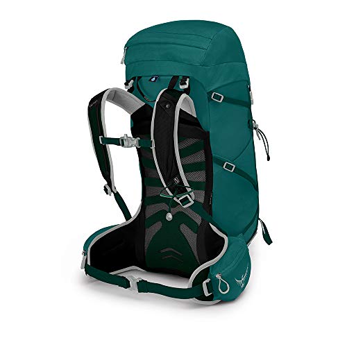 Osprey Tempest 30 Women's Hiking Backpack Jasper Green, X-Small/Small