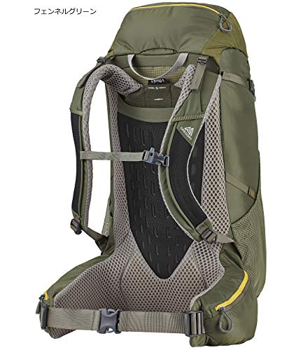 Gregory Mountain Products Stout Men's 45 Backpack , Phantom Blue