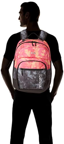 Quiksilver Men's --Schoolie Cooler Everyday Backpack, Quiet Shade, 1SZ