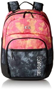 quiksilver men’s –schoolie cooler everyday backpack, quiet shade, 1sz