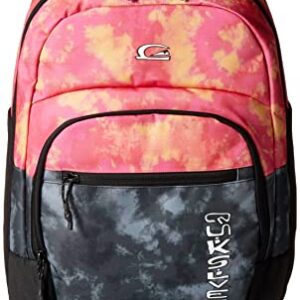 Quiksilver Men's --Schoolie Cooler Everyday Backpack, Quiet Shade, 1SZ