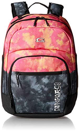 Quiksilver Men's --Schoolie Cooler Everyday Backpack, Quiet Shade, 1SZ