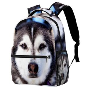 School Backpack Travel Backpack,Boy Girl Backpack,snow forest husky dogs,Outdoor Sports Rucksack Casual Daypack