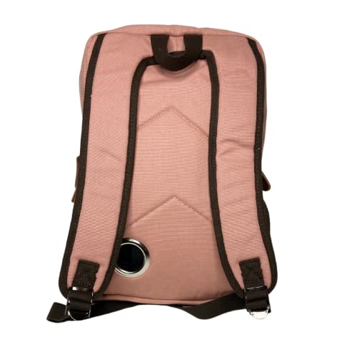 The Influencer Backpack (Blush)