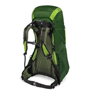 Osprey Exos 48 Men's Backpacking Backpack Tunnel Green, Small