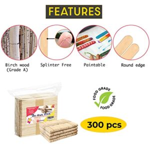 Apremont 300 Pcs Mini Natural Wooden Food Grade Craft Sticks - Ice Cream Stick - Popsicle - 3.5 inch Length - Suit Crafting, Stirring, Paddle, Waxing, Small Ice Pop Stick for DIY Kids Popcicle