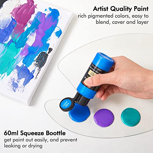 Shuttle Art 30 Colors Metallic Acrylic Paint, Metallic Acrylic Paint with 10 Brushes and 1 Palette, 60ml/2oz, Rich Pigments, Non-Toxic Art Paint for Artists, Beginners on Rocks Canvas Wood Fabric