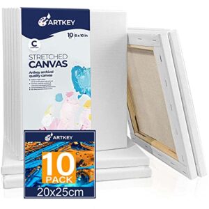 Artkey Canvases for Painting - 8 x 10 Inch, 10 Pack Canvases - 10 oz Triple Primed, Acid-Free, 100% Cotton Blank Canvas - Art Canvases for Oil Paint Acrylics