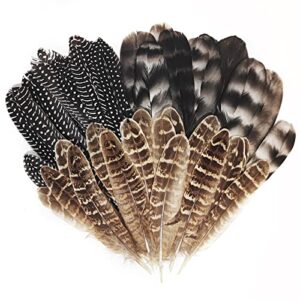 natural turkey spotted feathers, 30pcs pheasant feathers mardi gras feathers for crafts diy hat floral arrangements wing quill wedding home party decorations 6-8 inch(3 styles)