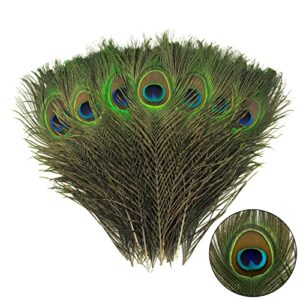 tharaht 12pcs peacock feather natural in bulk 10-12 inch 25-30cm for craft vase wedding home party christmas day decoration peacock feathers
