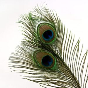 THARAHT 12pcs Peacock Feather Natural in Bulk 10-12 inch 25-30cm for Craft Vase Wedding Home Party Christmas Day Decoration Peacock Feathers