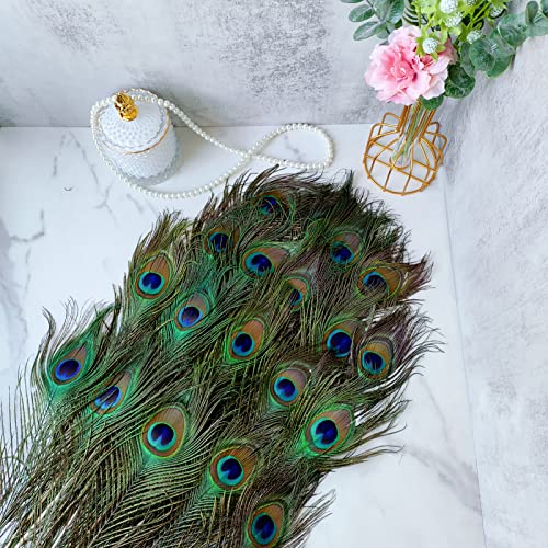 THARAHT 12pcs Peacock Feather Natural in Bulk 10-12 inch 25-30cm for Craft Vase Wedding Home Party Christmas Day Decoration Peacock Feathers