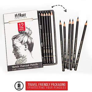 Galart Supplies Charcoal Drawing Set – 12 Pieces Pre-Sharped Soft, Medium, Hard and White Charcoal Pencils for Drawing with Organizer Tray, Shading and Sketching for Artists and Beginners