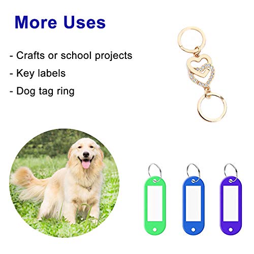 Key Rings for Keychain, Car Keys, Dog Tag Ring, Crafts, Golden, 12Pics