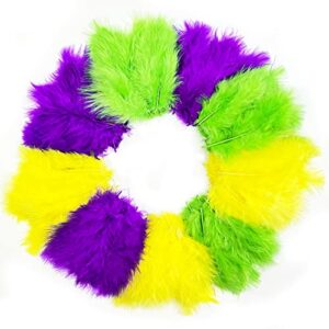 300 pcs colorful feathers feathers bulk for diy craft mardi gras party decorations carnival costume