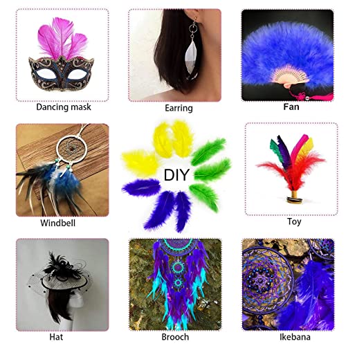 300 Pcs Colorful Feathers Feathers Bulk for DIY Craft Mardi Gras Party Decorations Carnival Costume