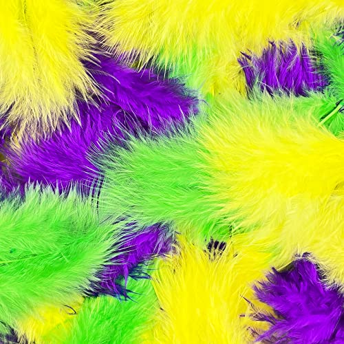300 Pcs Colorful Feathers Feathers Bulk for DIY Craft Mardi Gras Party Decorations Carnival Costume
