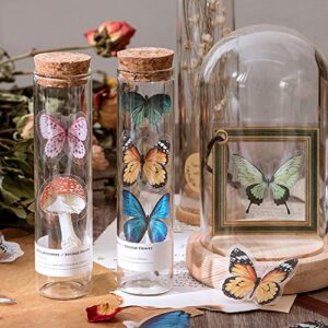 Knaid Butterfly Dragonfly Insects Stickers Set (240 Pieces) - PET Transparent Waterproof Decorative Decals for Scrapbook DIY Crafts Album Bullet Journal Planner Water Bottles Phone Cases Laptops