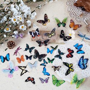 Knaid Butterfly Dragonfly Insects Stickers Set (240 Pieces) - PET Transparent Waterproof Decorative Decals for Scrapbook DIY Crafts Album Bullet Journal Planner Water Bottles Phone Cases Laptops