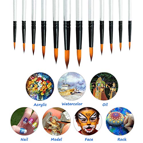 Acrylic Paint Brushes Set, 12pcs Professional Round-Pointed Tip Artist Paintbrushes for Acrylic Watercolor Oil Painting, Face Body Nail Art, Crafts, Canvas, Rock, Shoes, Miniature Model & Fine Detail