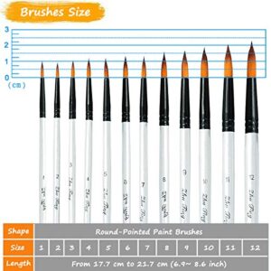 Acrylic Paint Brushes Set, 12pcs Professional Round-Pointed Tip Artist Paintbrushes for Acrylic Watercolor Oil Painting, Face Body Nail Art, Crafts, Canvas, Rock, Shoes, Miniature Model & Fine Detail