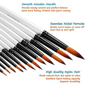 Acrylic Paint Brushes Set, 12pcs Professional Round-Pointed Tip Artist Paintbrushes for Acrylic Watercolor Oil Painting, Face Body Nail Art, Crafts, Canvas, Rock, Shoes, Miniature Model & Fine Detail