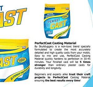 Perfect Cast Cast & Paint Harder Than Plaster Casting Material - 4 Pound