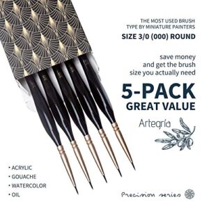 ARTEGRIA Detail Paint Brush Set - 5 Miniature Paint Brushes Size Round 3/0 000 - Fine Tips Ergonomic Handles for Small Scale Models Warhammer 40k Paint by Numbers for Adults - Acrylic Watercolor Oil