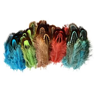 100 pcshappy feather natural pheasant plumage feathers 2-3 inches plumage feathers for sewing crafts clothing decorating accessories -multi color