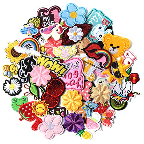 AXEN 60PCS Embroidered Iron On Patches DIY Accessories, Random Assorted Decorative Patches , Cute Sewing Applique for Jackets, Hats, Backpacks, Jeans, 60 Pieces Package