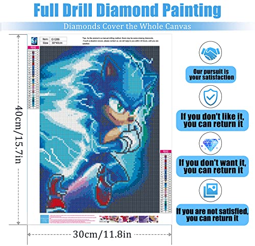 arcvoso 5D Diamond Painting Kits for Adults - Diamond Art Kits for Adults Kids Beginner,DIY Sonic Diamond Painting Full Drill Round Rhinestone for Home Wall Decor 11.8X15.7inch