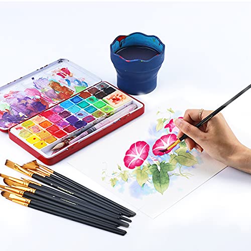 Transon Art Painting Brush Assorted Set of 12 for Acrylic Watercolor Gouache Hobby Painting