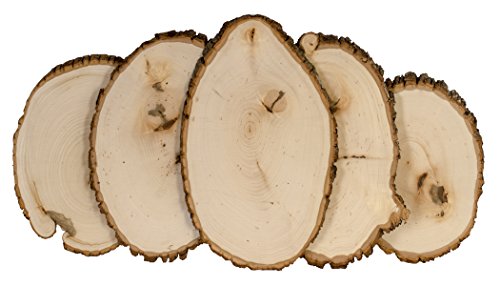 Walnut Hollow Medium Basswood Rustic Round Wood Slices with Live Edge Bark, Bulk Value Pack, 12-Pack