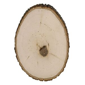 Walnut Hollow Medium Basswood Rustic Round Wood Slices with Live Edge Bark, Bulk Value Pack, 12-Pack