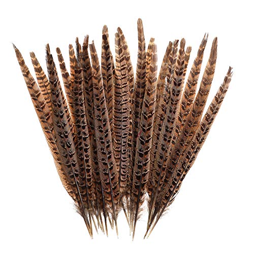 AWAYTR 20pcs Natural Pheasant Feathers - Pheasant Tail 8-11inch(21-28cm) for DIY Decoration (Female Pheasant Tail)