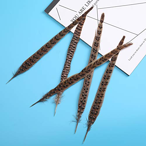 AWAYTR 20pcs Natural Pheasant Feathers - Pheasant Tail 8-11inch(21-28cm) for DIY Decoration (Female Pheasant Tail)