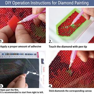 Rousp DIY 5D Diamond Painting Kits for Adults Diamond Art Star Lake Diamond Painting Full Drill Crystal Rhinestone Diamond Embroidery Craft Kits for Home Wall Decor Gifts, 27.5 X 15.7inch