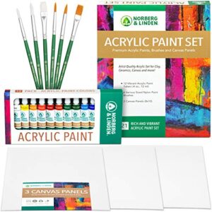 norberg & linden acrylic paint set -12 acrylic paints, 6 paint brushes for acrylic painting, 3 painting canvas panels – premium art supplies for adults canvas painting