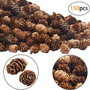 Deloky 150 PCS Christmas Natural Mini Pine Cones- 2CM Thanksgiving Small Pinecones Ornaments Vase Fillers for DIY Crafts, Home Decorations,Fall and Christmas,Wedding Decor