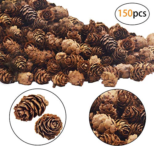 Deloky 150 PCS Christmas Natural Mini Pine Cones- 2CM Thanksgiving Small Pinecones Ornaments Vase Fillers for DIY Crafts, Home Decorations,Fall and Christmas,Wedding Decor