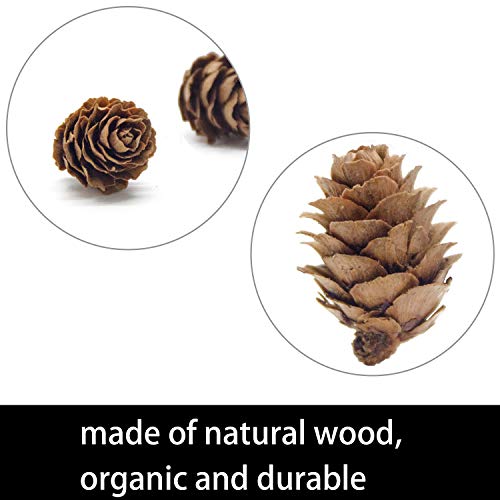 Deloky 150 PCS Christmas Natural Mini Pine Cones- 2CM Thanksgiving Small Pinecones Ornaments Vase Fillers for DIY Crafts, Home Decorations,Fall and Christmas,Wedding Decor