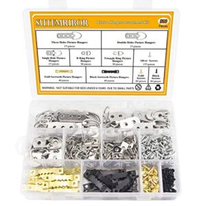 Picture Hanging Kit 500 PCS, Sutemribor Heavy Duty Assorted Picture Hangers with Screws for Picture Hanging Wall Mounting (500)