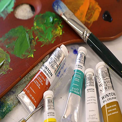 Winsor & Newton Winton Oil Color Paint, Starter Set, 10 x 37ml Tubes, 12 Piece Set